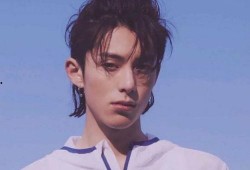 圈内小料爆料王鹤棣视频,背后故事引热议