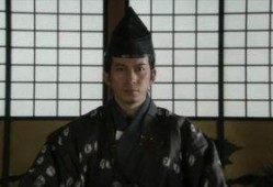 军师官兵卫在线观看,在线观看，揭秘古代智勇传奇